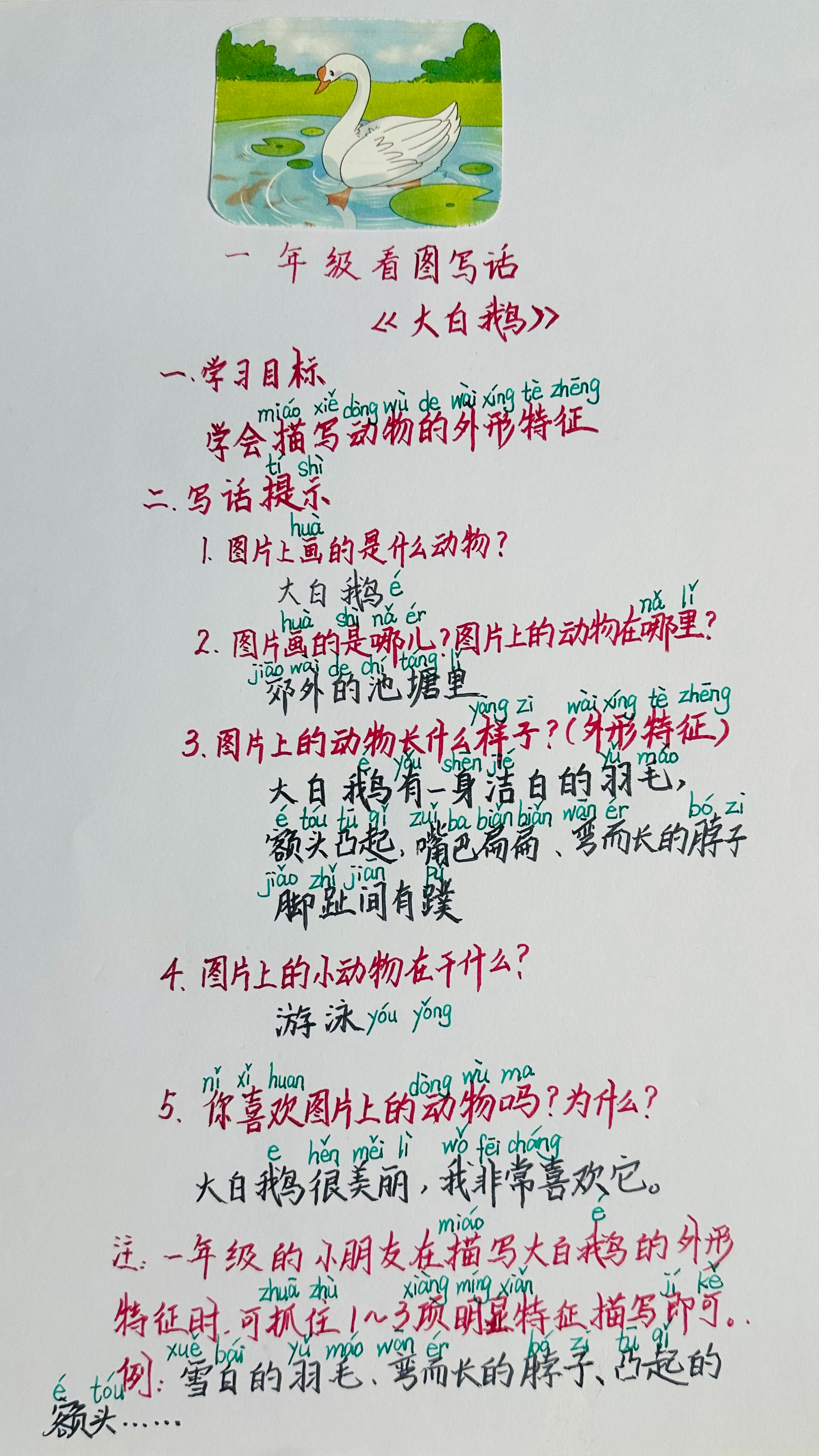 一二年级看图写话# #一年级看图写话#   看图写话《大白鹅》:抓外形