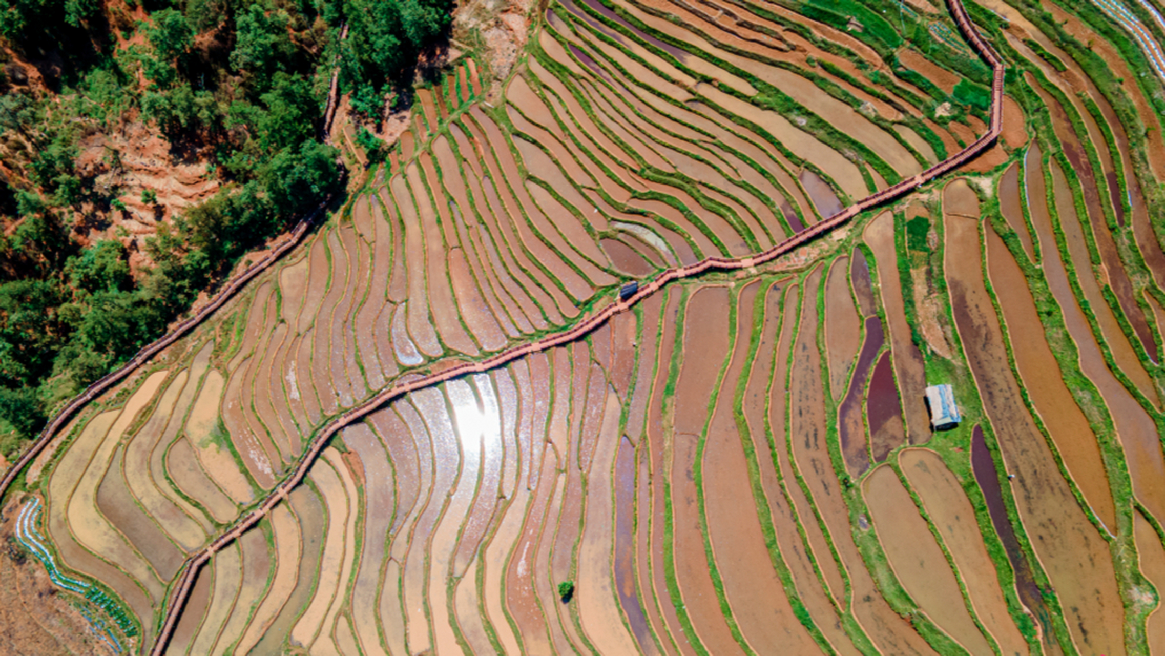 本地逛吃笔记#攀枝花新山梯田:是国家aaa级景区,位于米易新山傈僳族
