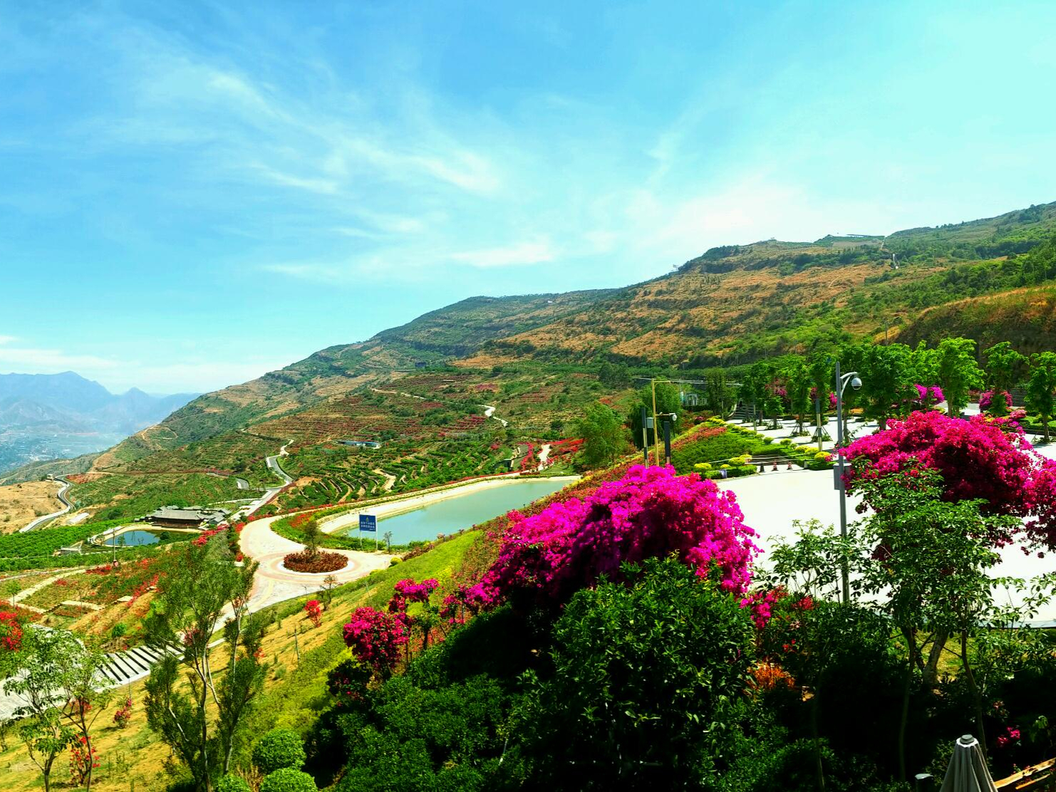 本地逛吃笔记#攀枝花阿署达花舞人间:是一处集休闲度假,生态湿地