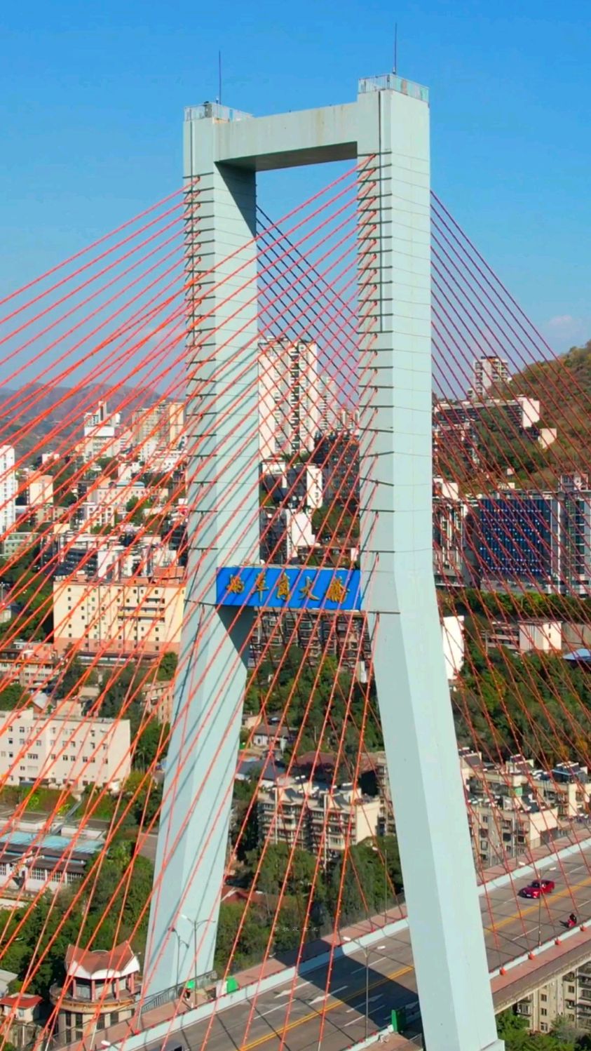 攀枝花市炳草岗大桥