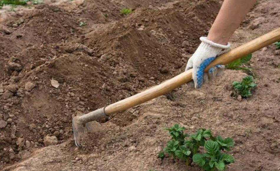 17年,四川叛逆少年突然失踪,1个月后,奶奶种菜挖出带血电热毯