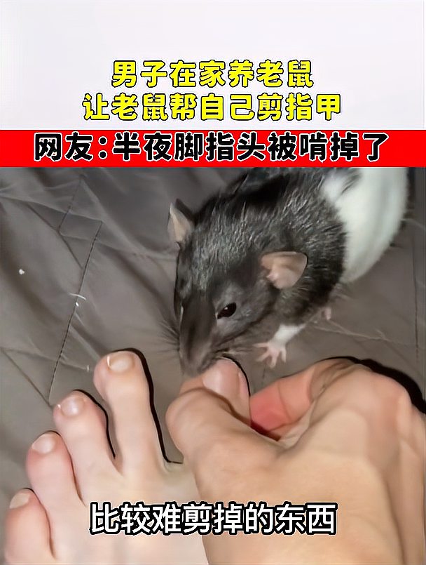 老人归西