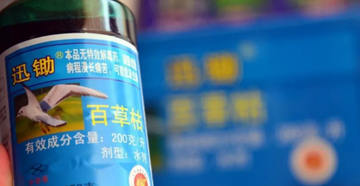 被姐夫狠心下毒