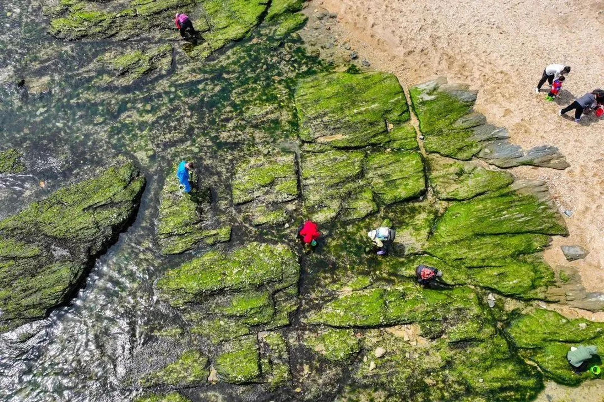 【大连赶海打卡地——小傅家庄】小傅家庄在傅家庄公园左侧一公里左右