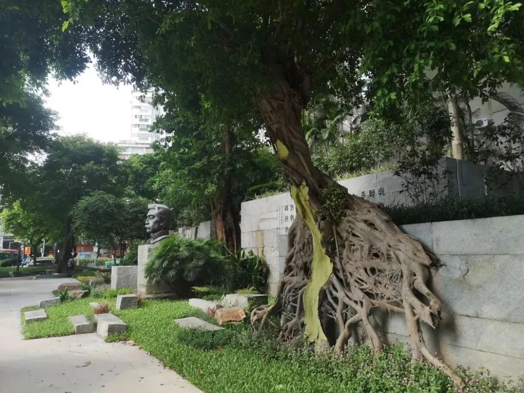 广州人的"小口袋",藏着最美的秘密