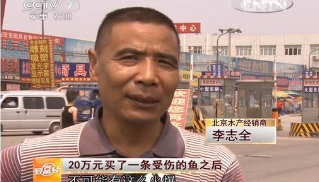 卖服装起家的鲶鱼贩子