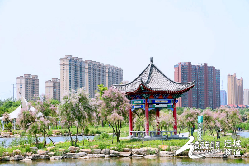 运城禹都公园:草木葳蕤 初夏美景入画来