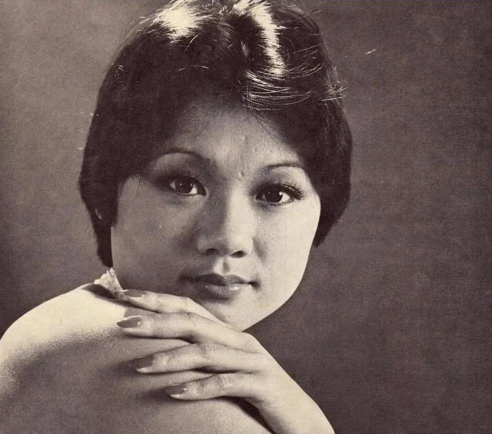 回顾叶丽仪:2段婚姻4次试管婴儿,48岁患癌,孙子13岁仍不会说话