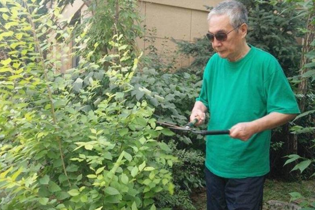 回顾杜雨露:因肺癌病逝,葬礼仅6人参加,妻子的坚持让人感动