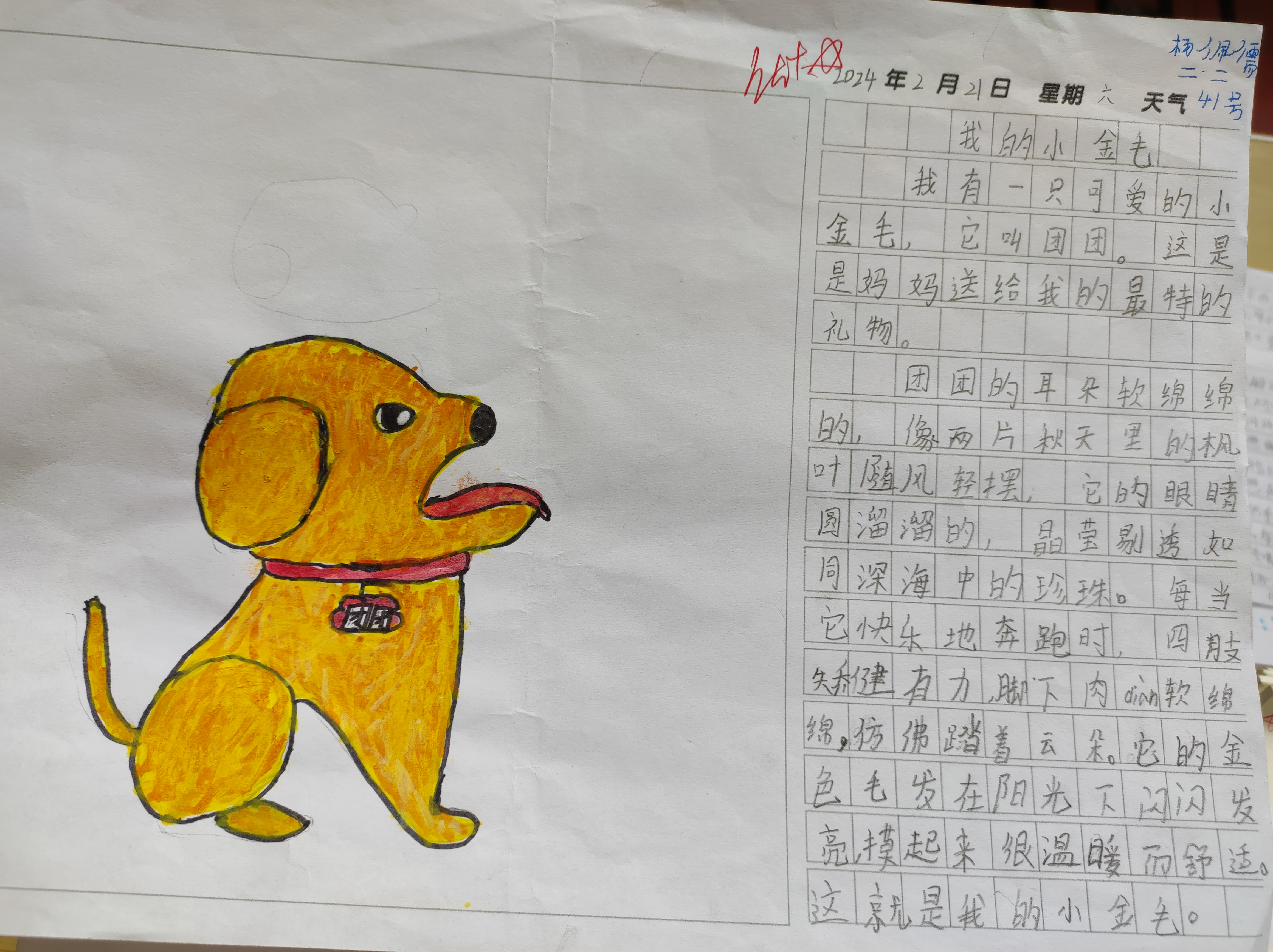 二年级绘画日记动物日记二年级看图写话有趣的动物你喜欢什么动物它有