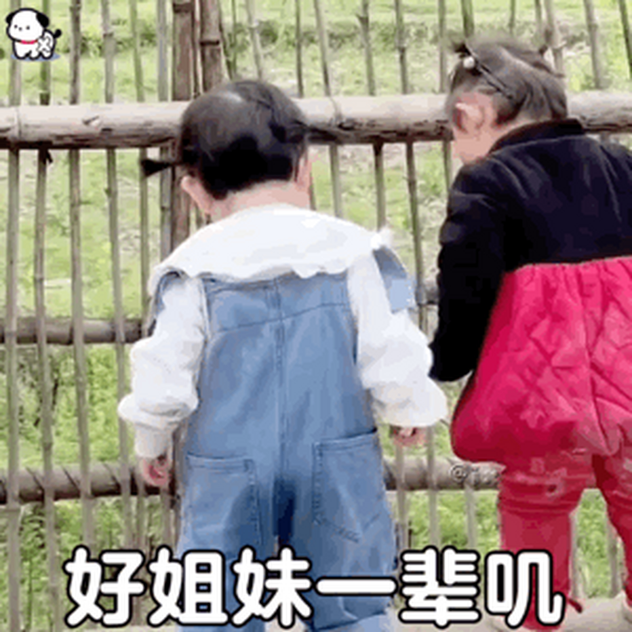 瑶一瑶表情包丨好姐妹一辈子#表情包# #瑶一瑶表情包