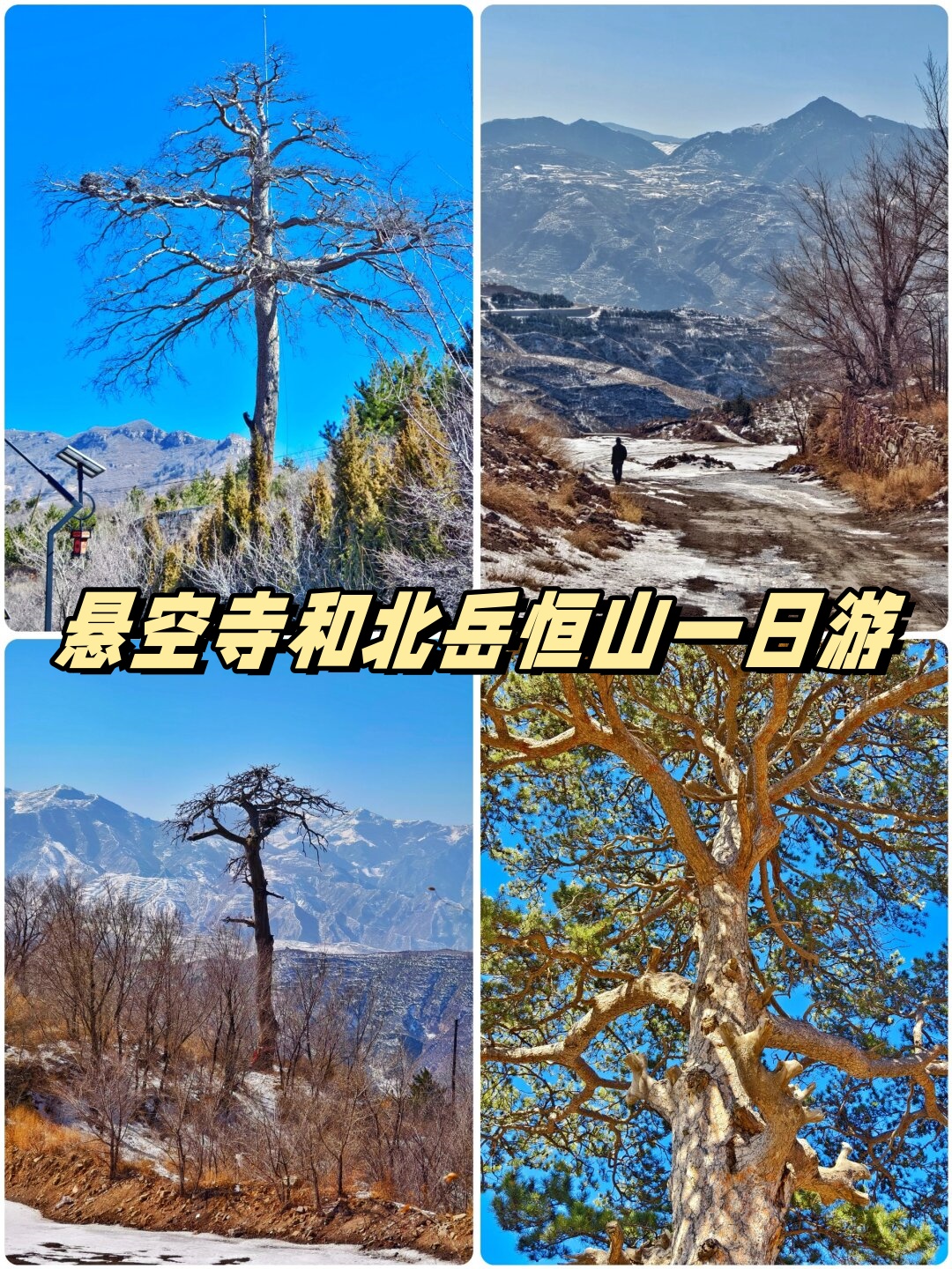 不二法师简介图片