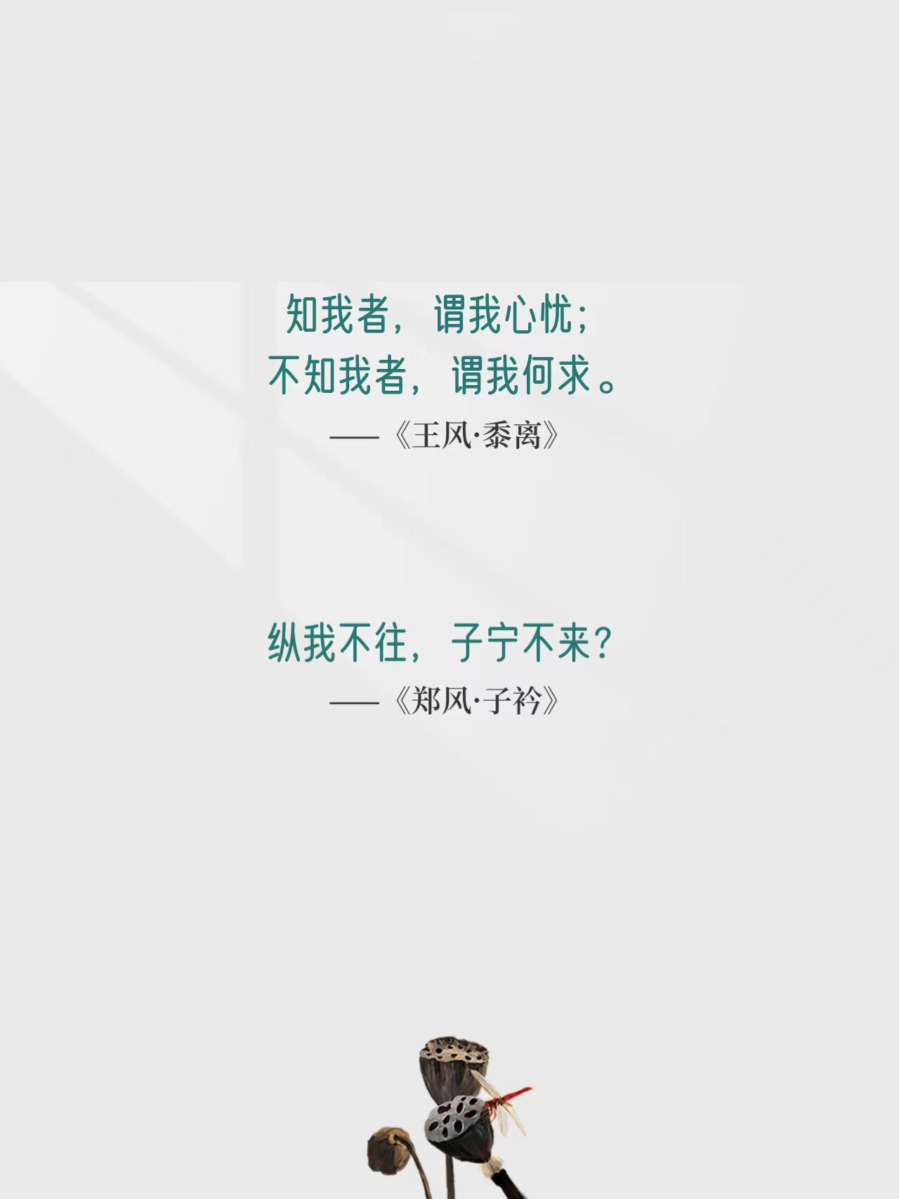 孔子曾称《诗经》为思无邪