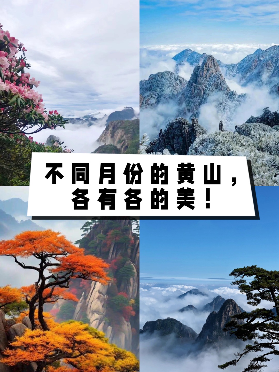 四大山五大岳图片