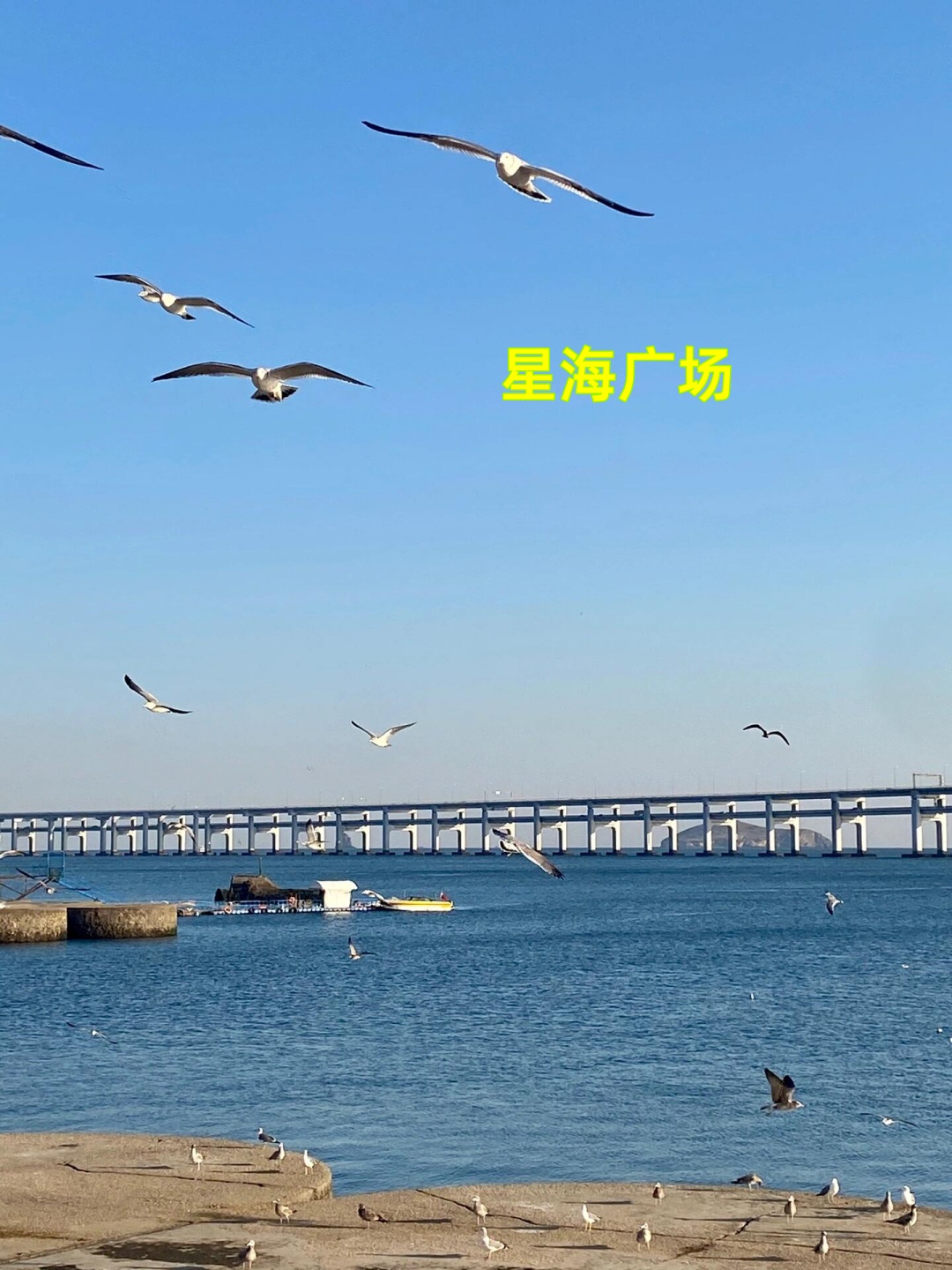 星海广场 作为大连的地标建筑,星海广场简直是个网红打卡地! 每次