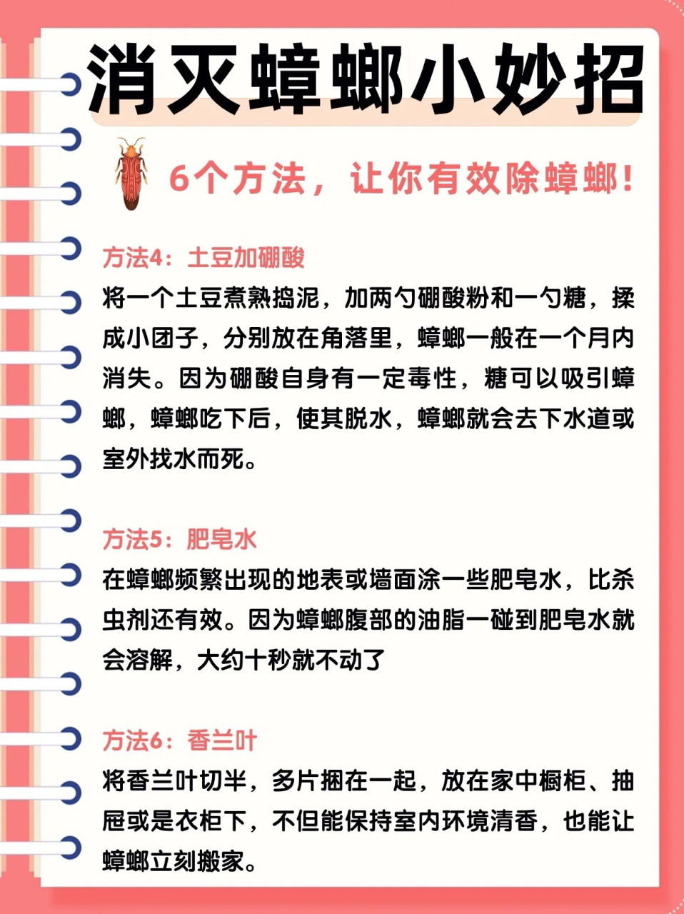 消灭蟑螂小妙招!6个方法,让你有效除蟑螂!