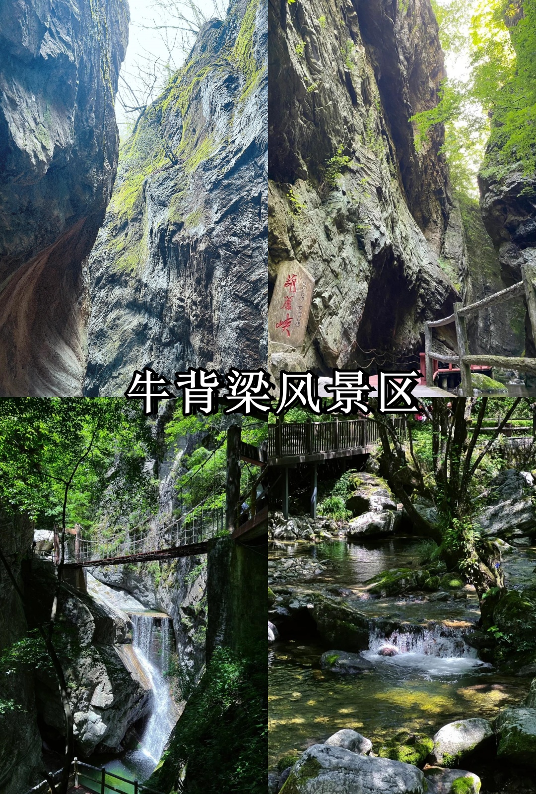 牛背梁风景区,美到极致的自然宝藏!