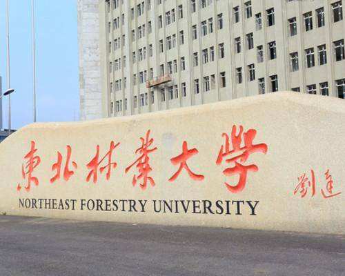 东北林业大学图标图片