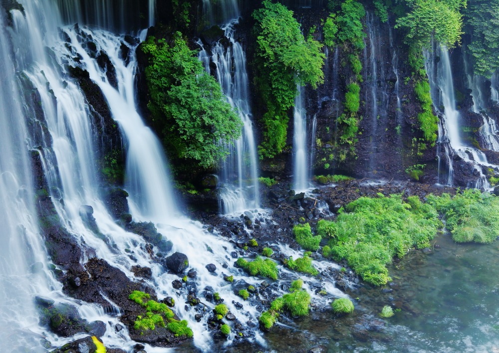 音乐是上帝的声音