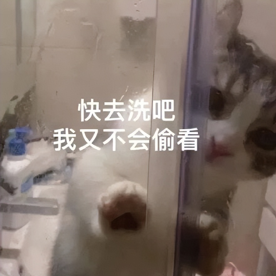 情侣调戏表情包|想和你在这里打滚了