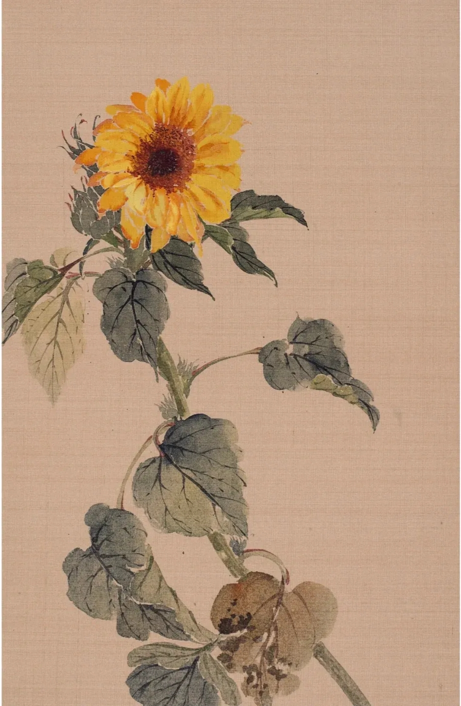 国画名家笔下的向日葵,欣欣向荣,灿烂辉煌