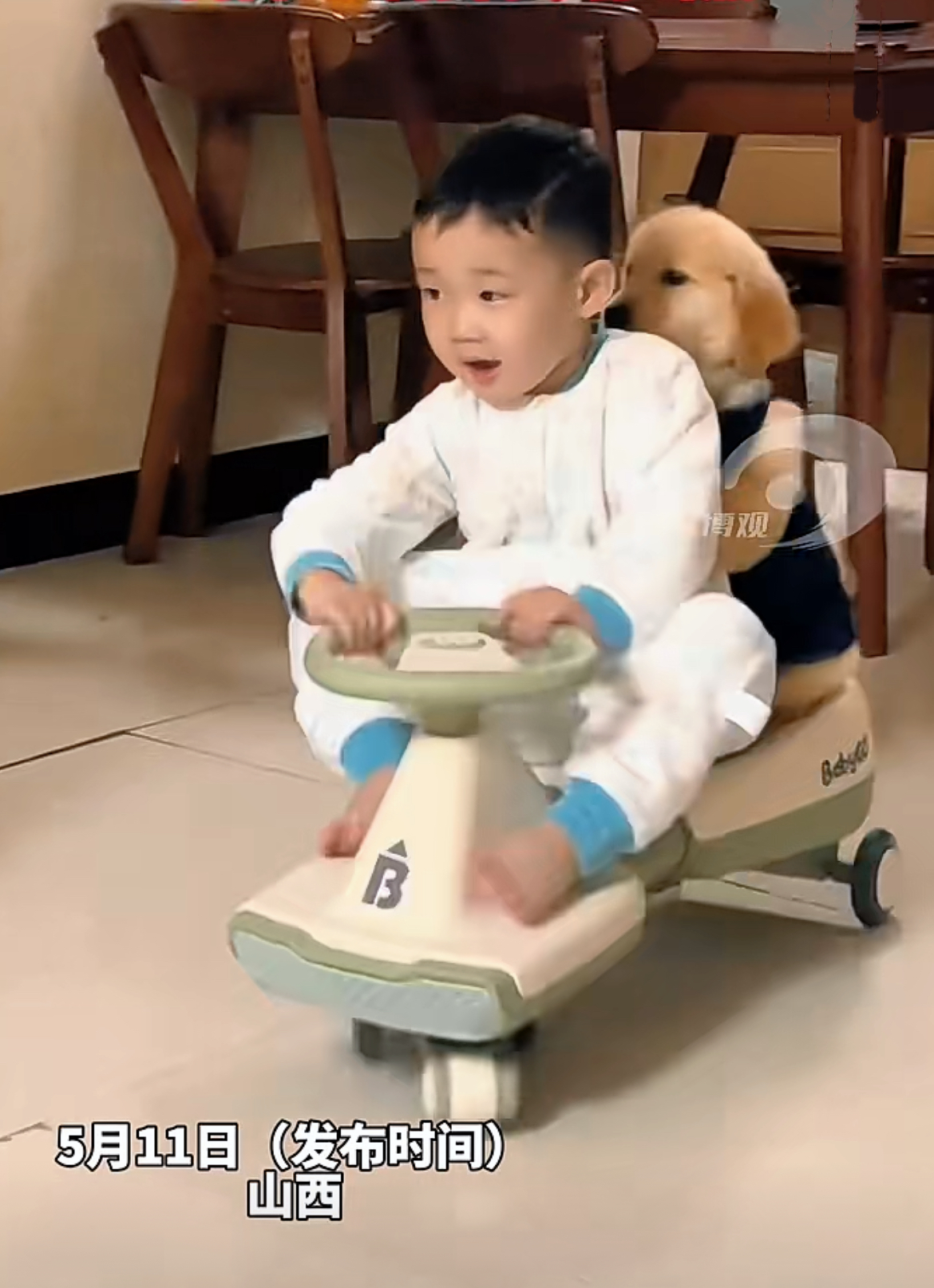 萌娃狗子你抱紧点千万别松手 狗狗 小主你慢些骑呀稳一点