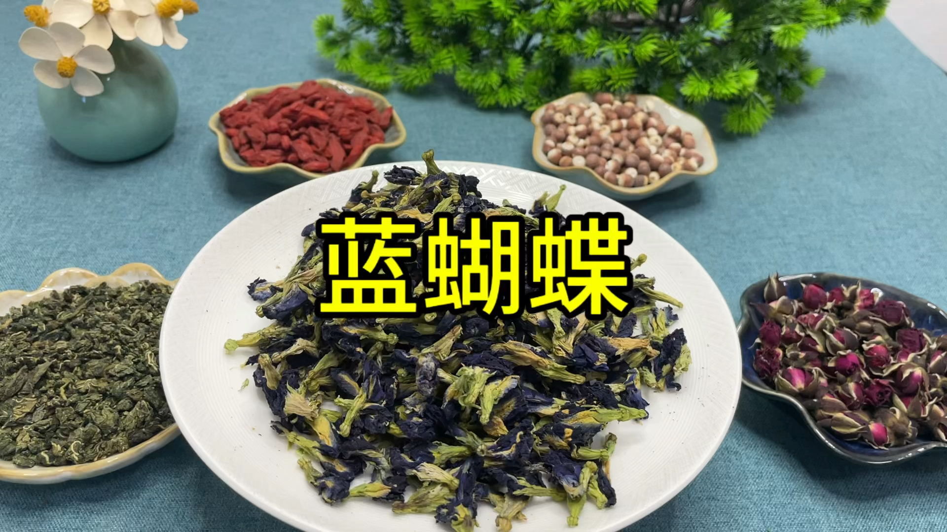 蓝蝴蝶你喝过吗,知道它的好处吗