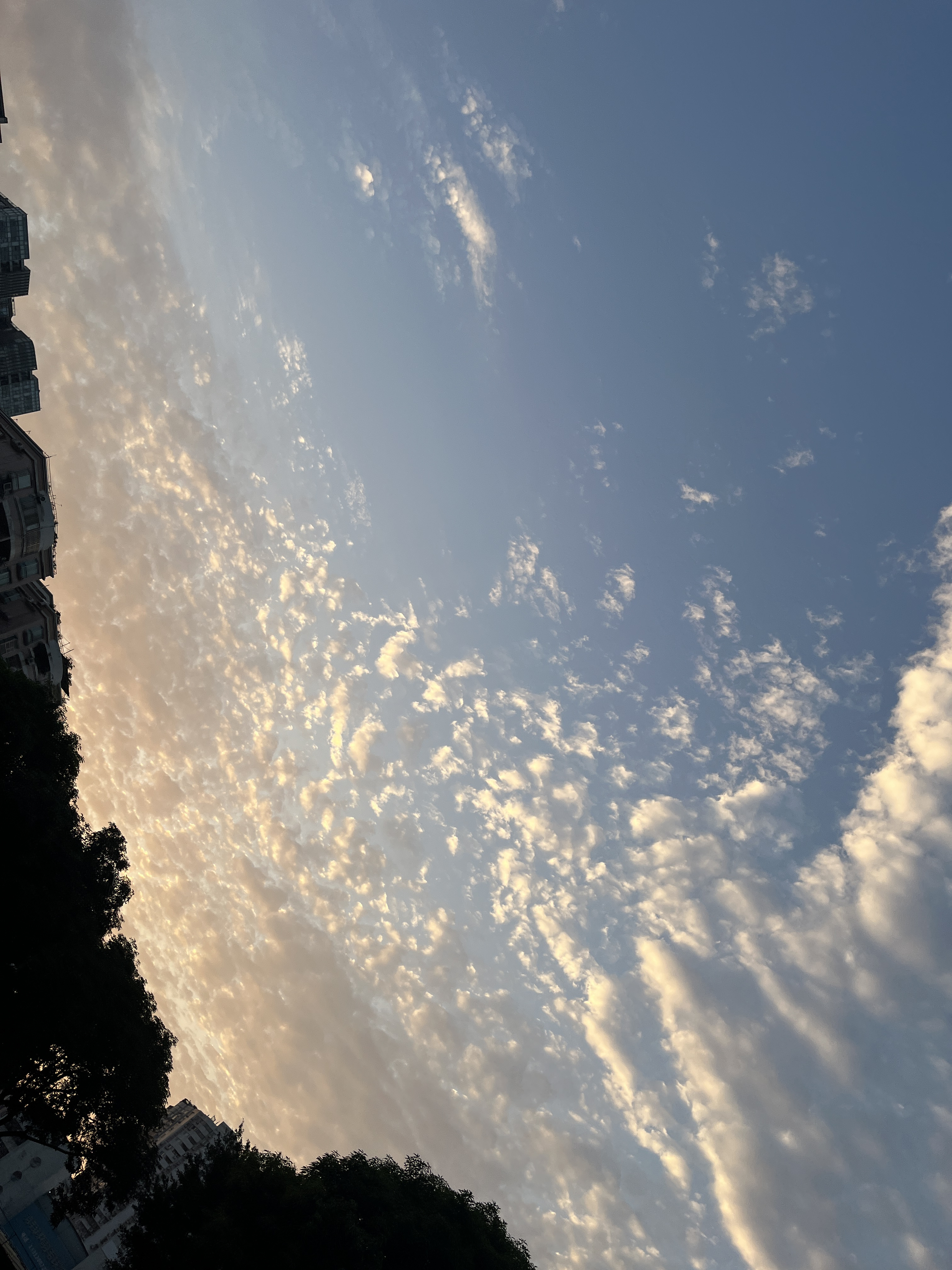 美妙早晨天气图片早晨天空天气照片早上《日出》清晨早晨图片 最美