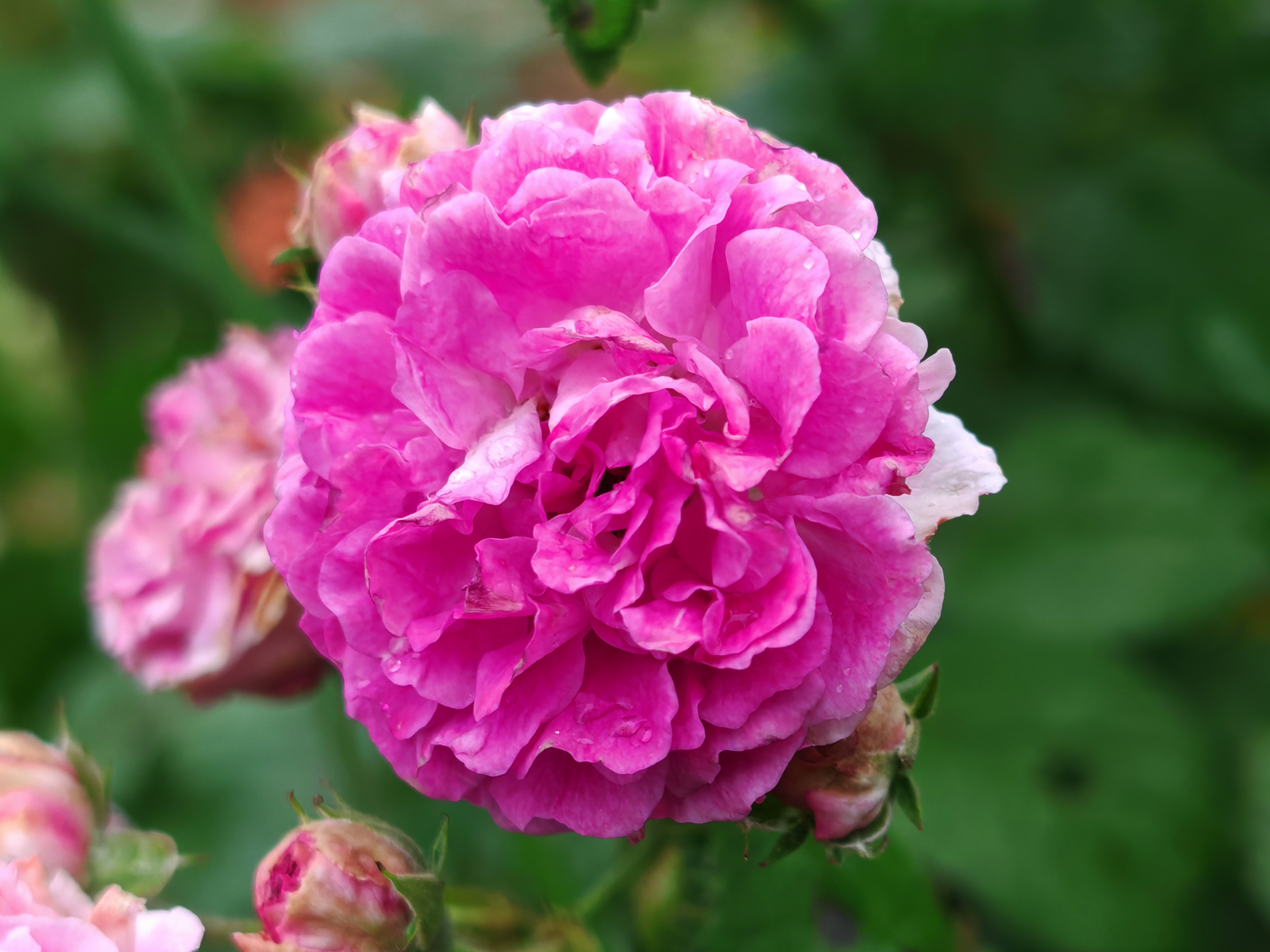 一切顺其自然,珍惜当下所拥有的,安安静静做自己,凡事随心,从容生活