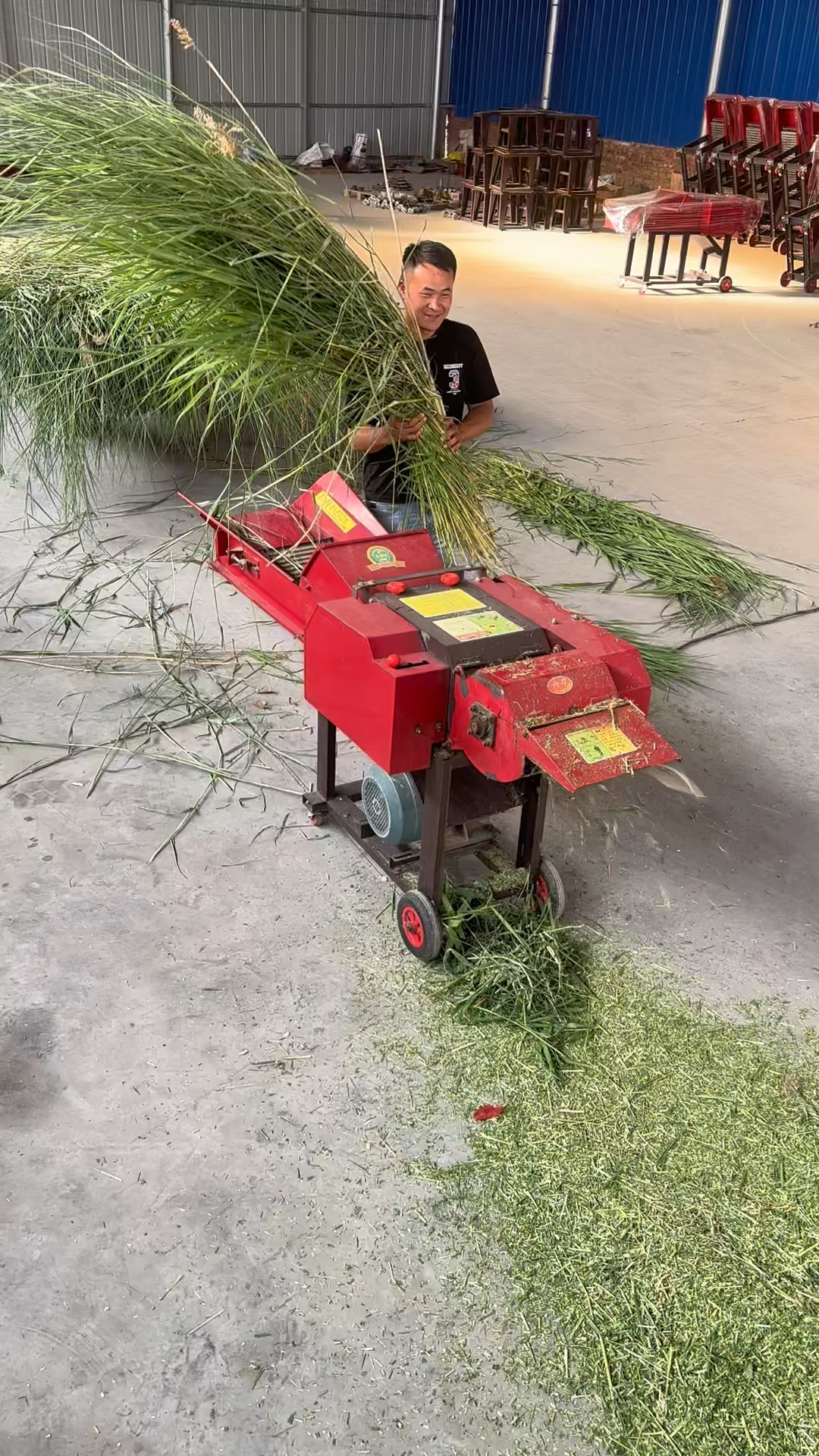 芦苇,秸秆碎草机,养殖秸秆粉碎机,新型铡草揉丝机
