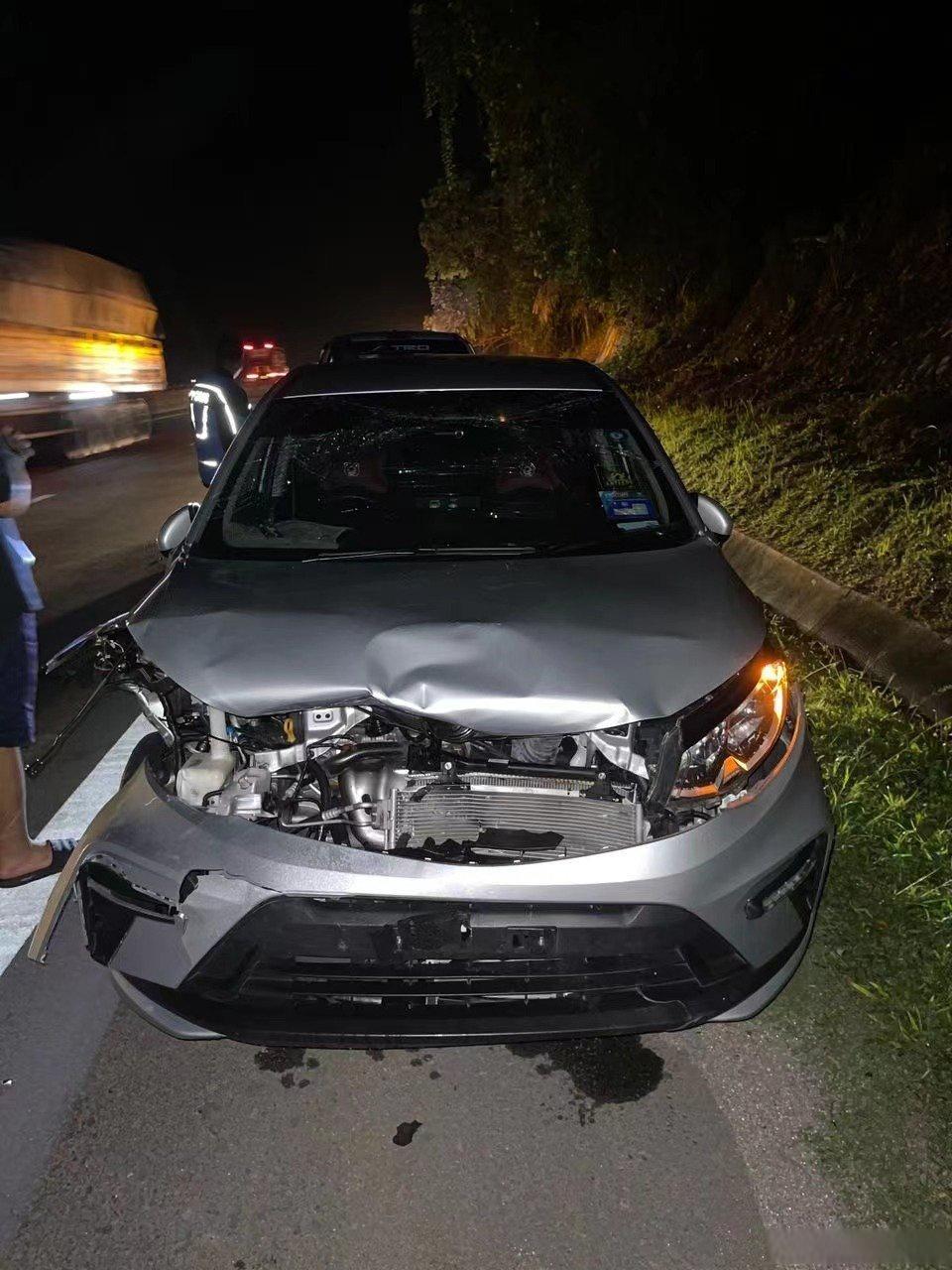 晚上开车呢,居然能把老虎给撞了!