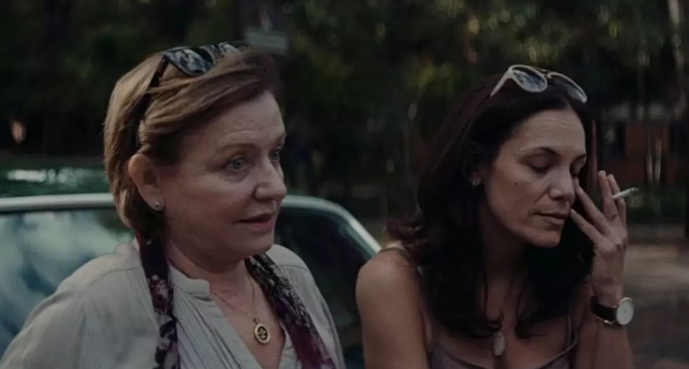 电影《女继承者》讲述一对中年同性恋人遭遇中年危机后,一人入狱,另