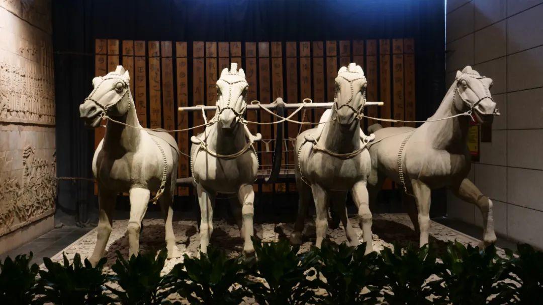 嘘,你听!淄博这么多博物馆今晚"成精"了