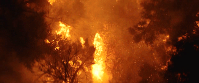 400_167gif 动态图 动图