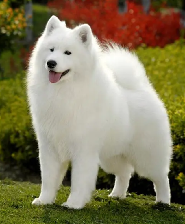 回顾:19年前抓着飞机起落架从昆明到重庆的14岁男孩,现在怎样了