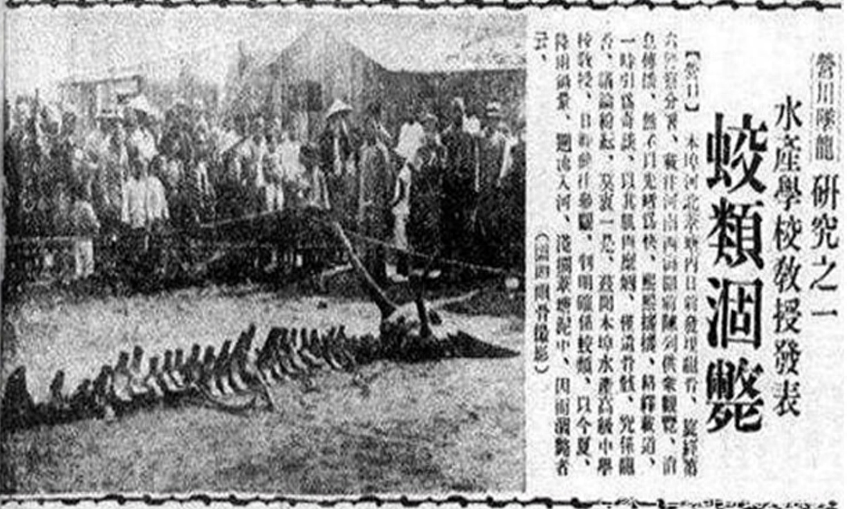 1934年营口坠龙事件:老人上交5块龙骨,揭开了一个日本人的阴谋