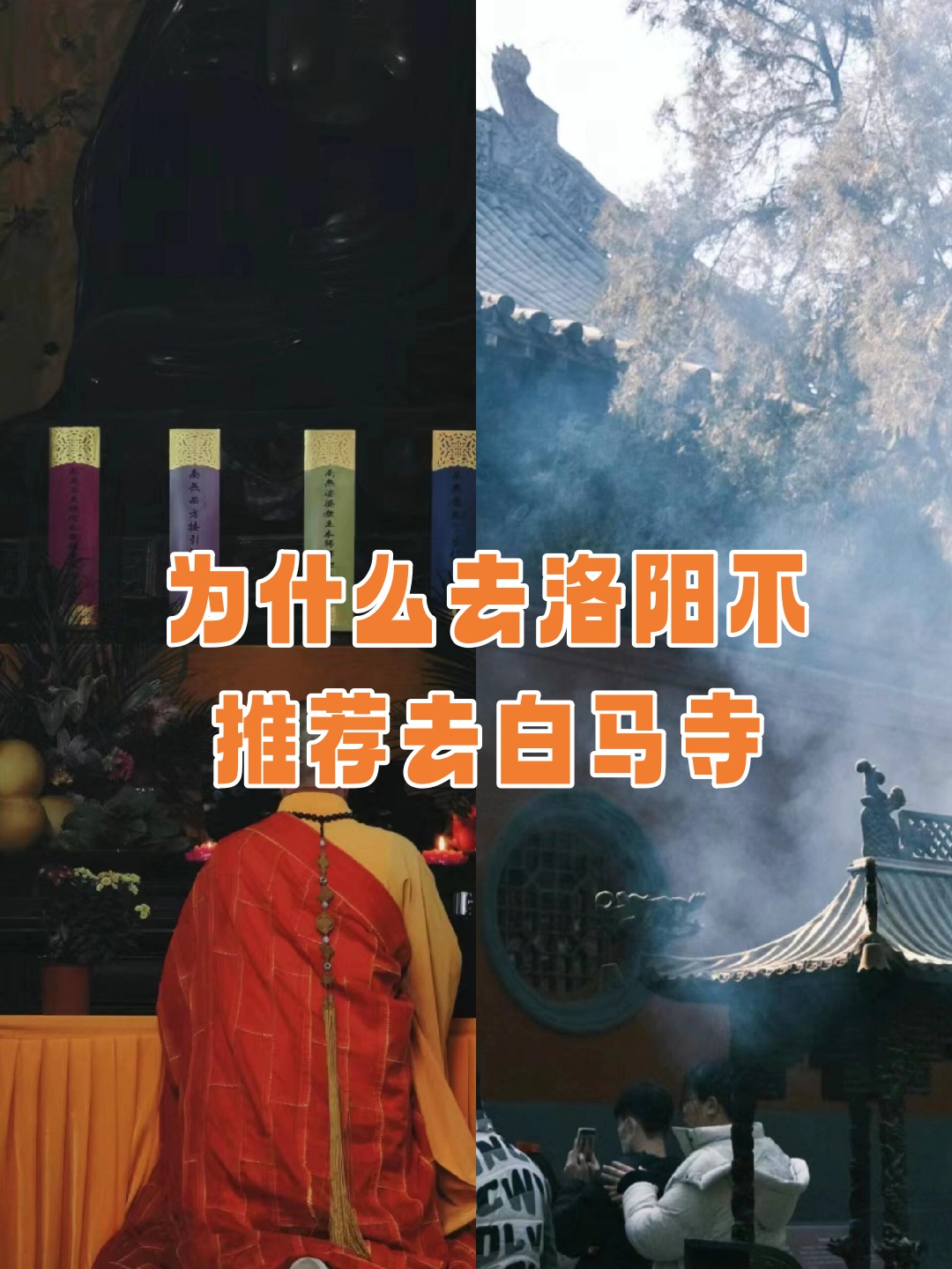 为什么去洛阳不推荐去白马寺