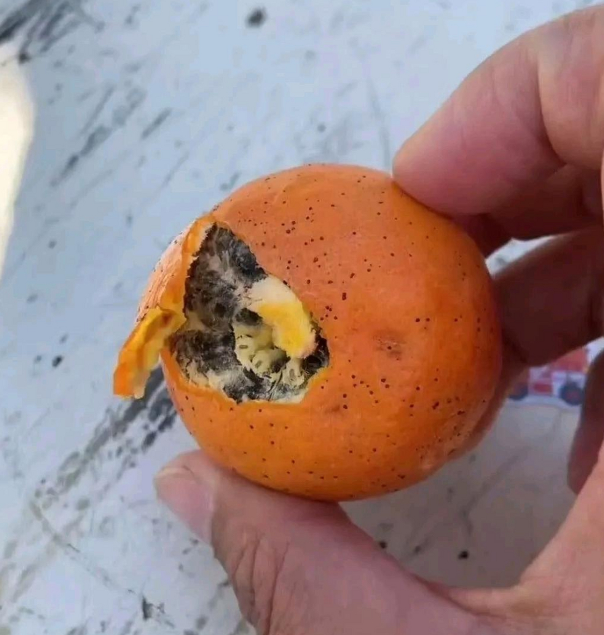 这橘子都坏成这样了,还能吃吗?