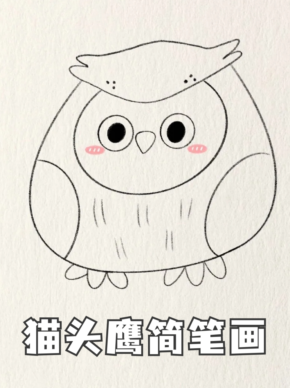 猫头鹰简笔画 96猫头鹰虽然是猛禽,但是看起实在是很可爱,我对这种