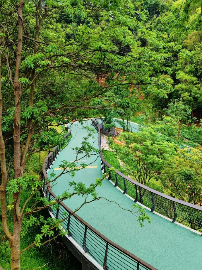深圳适合老人去的旅游景点有哪些(深圳适合老人去的旅游景点有哪些地方)