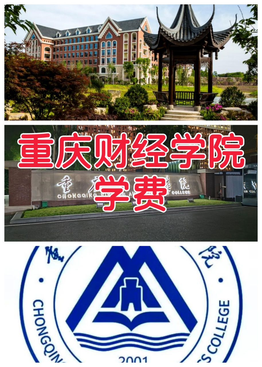 重庆财经学院评价图片