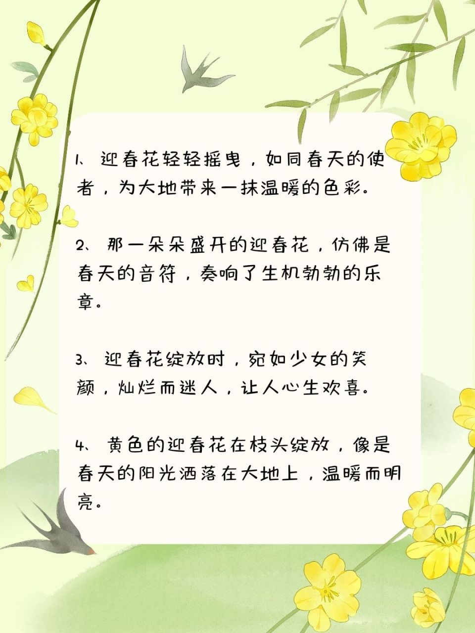 迎春花的描写优美图片