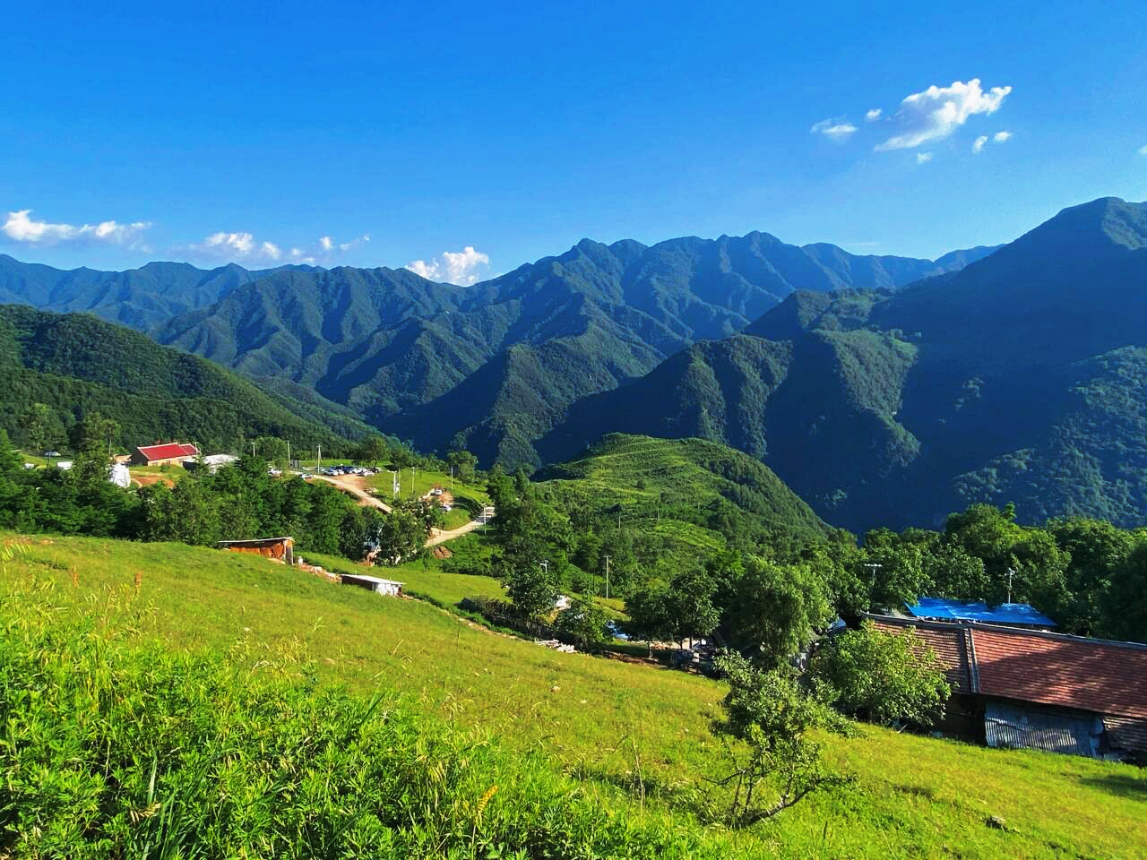 秦岭秘境,绝美草甸,梦幻流峪