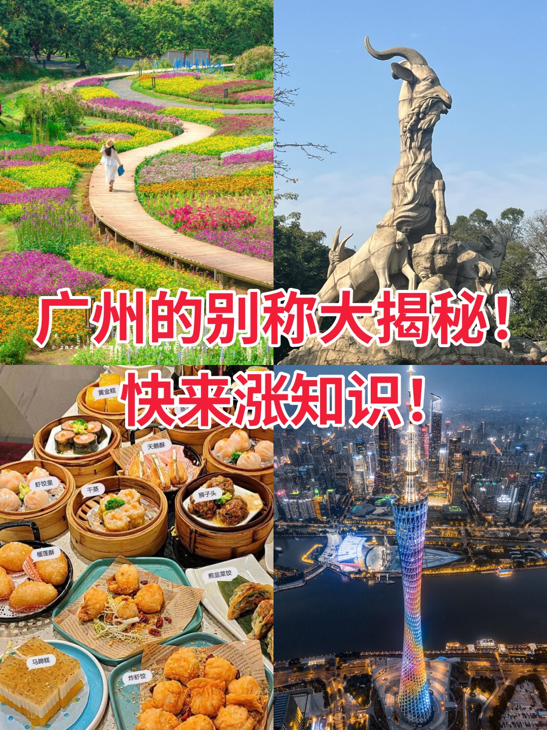 广州,这座千年古都,自古便被誉为"番禺","羊城"和"花城"