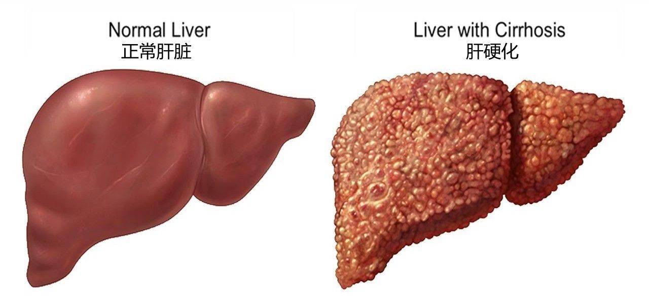 50多年来找我看病的患者真不少