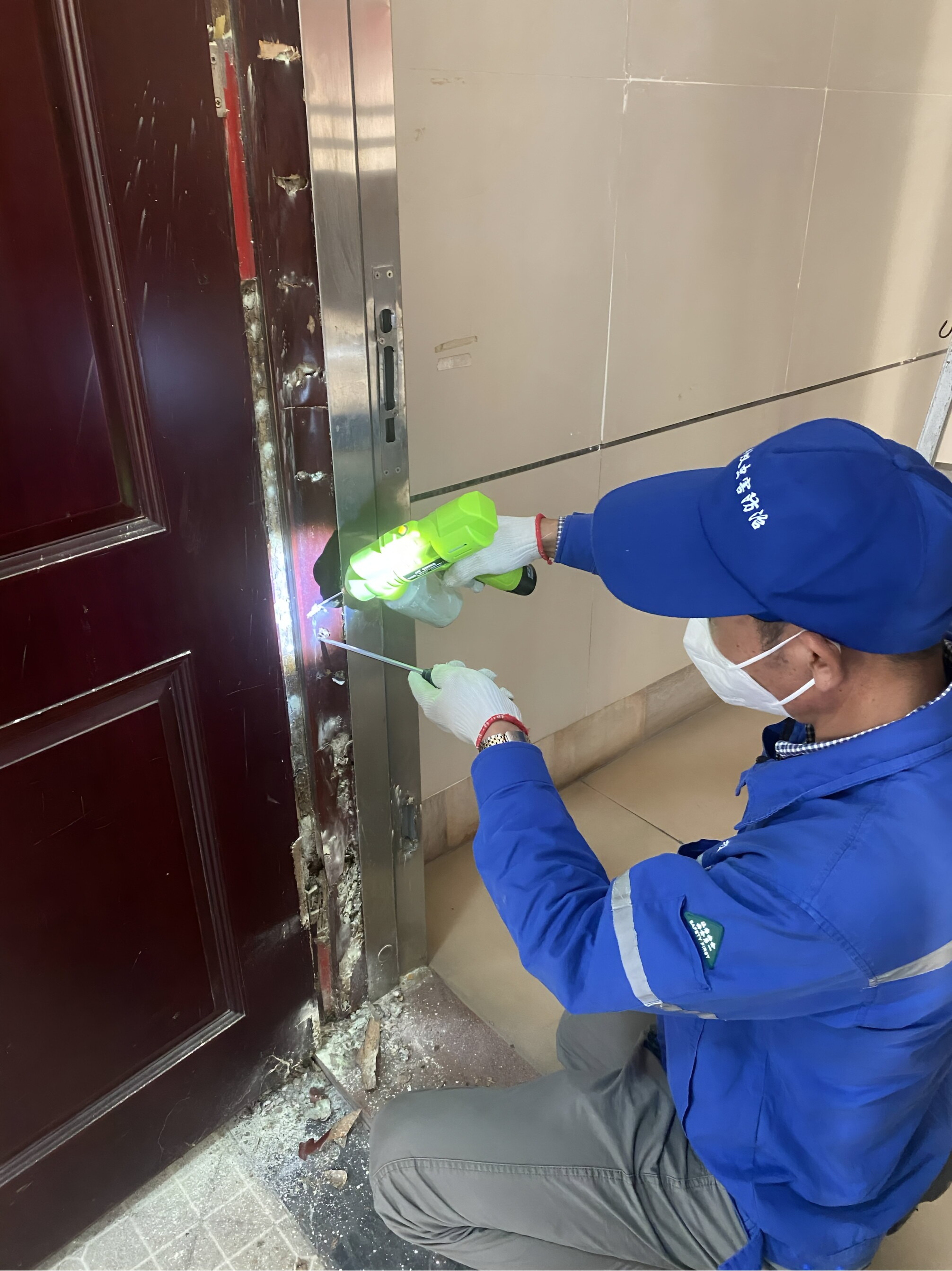 佛山灭白蚁-如何灭除