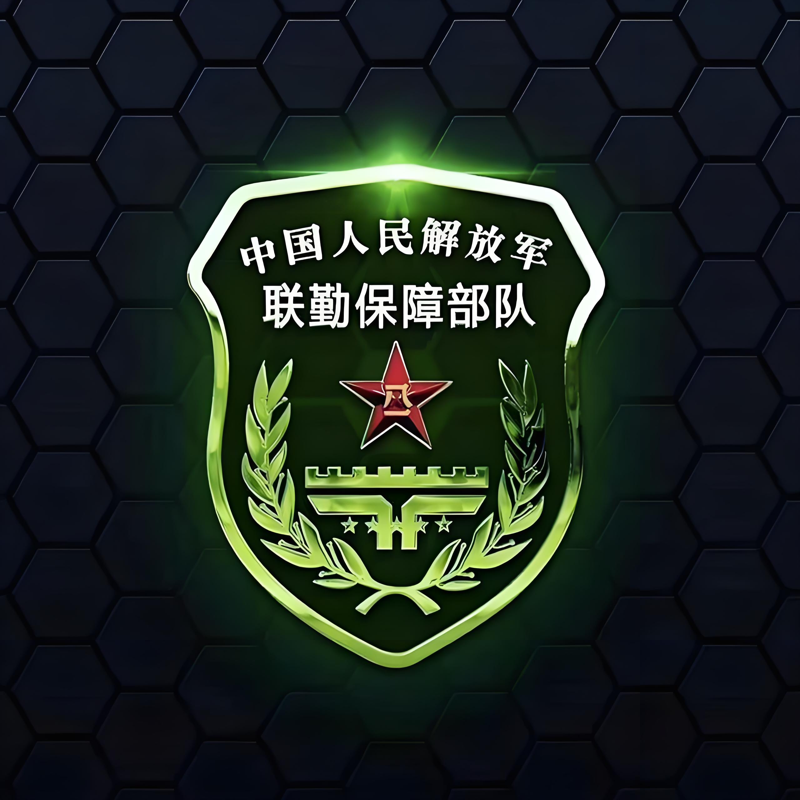 后勤支持的一系列活动,包括物资供应,装备维修,医疗救护,运输通信等