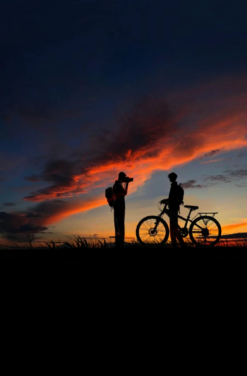 撒野 | 蒋丞顾飞  深渊之下,我见少年垫脚摘光,倏然扬手一洒.