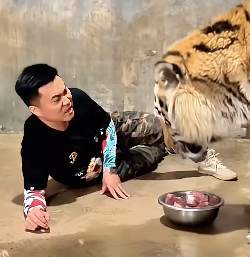 小伙子养了老虎12年,他想测试一下当有人打自己的时候,老虎会不会像狗