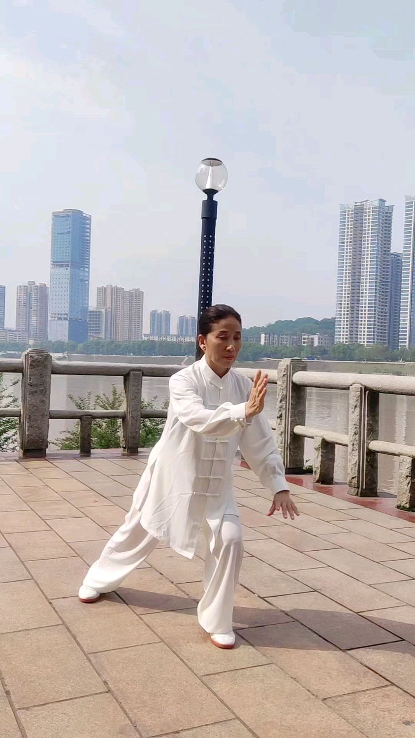 学练吴式45式太极拳 7式 手挥琵琶 8式 进步搬拦捶